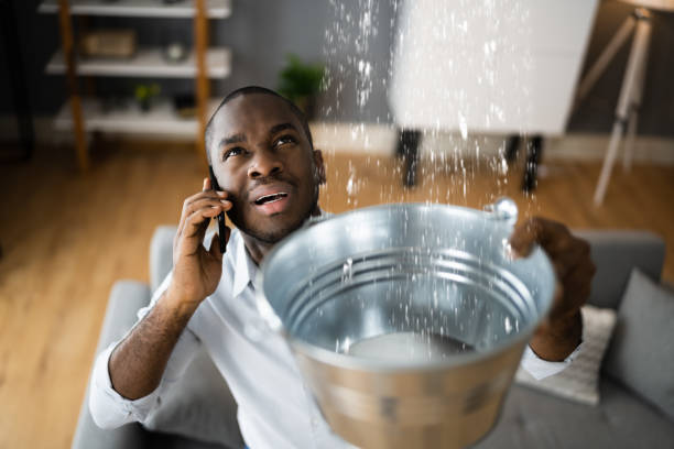Best Water damage restoration experts  in New Square, NY
