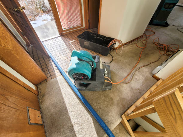 Best Ceiling water damage repair  in New Square, NY