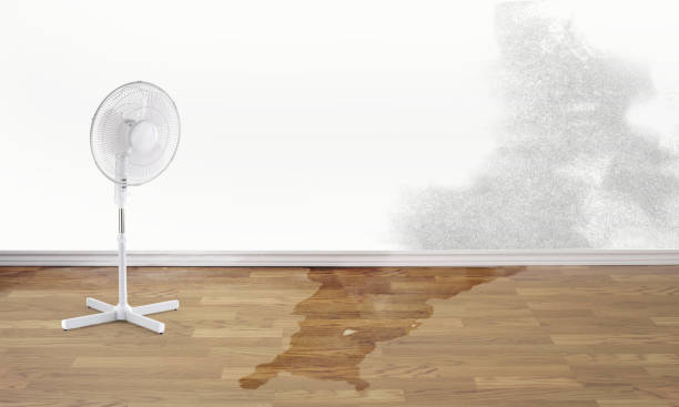 Best Water damage restoration specialists  in New Square, NY