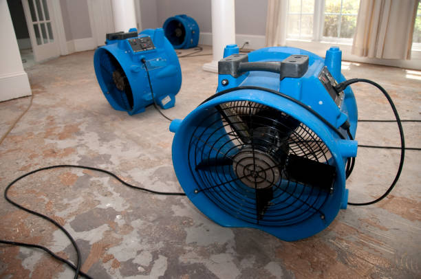 Best Carpet water damage restoration  in New Square, NY