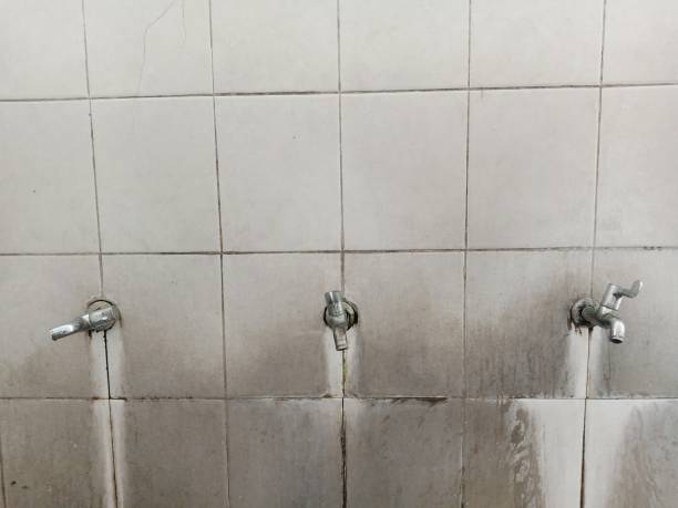 Best 24-hour water damage restoration  in New Square, NY