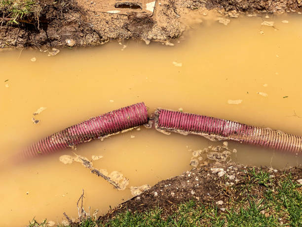 Best Water damage restoration mold remediation  in New Square, NY